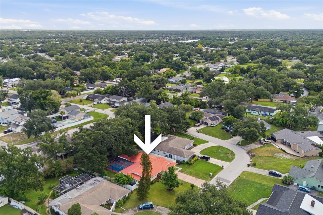 1514 Burning Tree Lane, Brandon, FL 33510 Photo