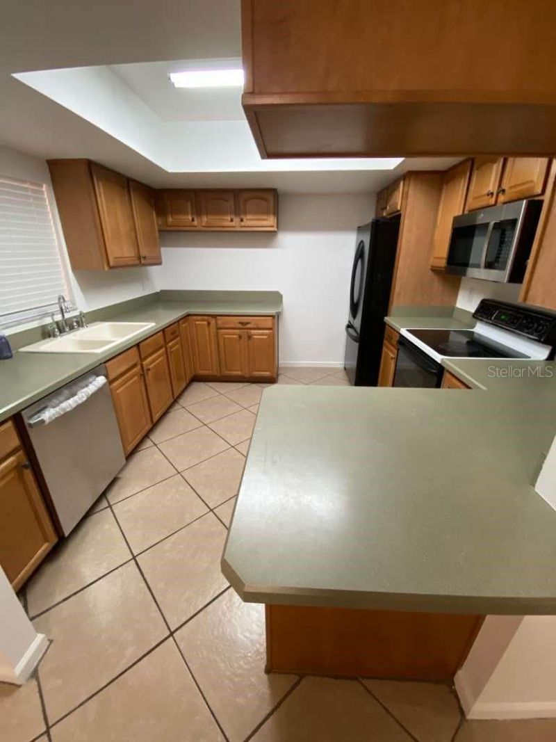 1514 Burning Tree Lane, Brandon, FL 33510 Photo