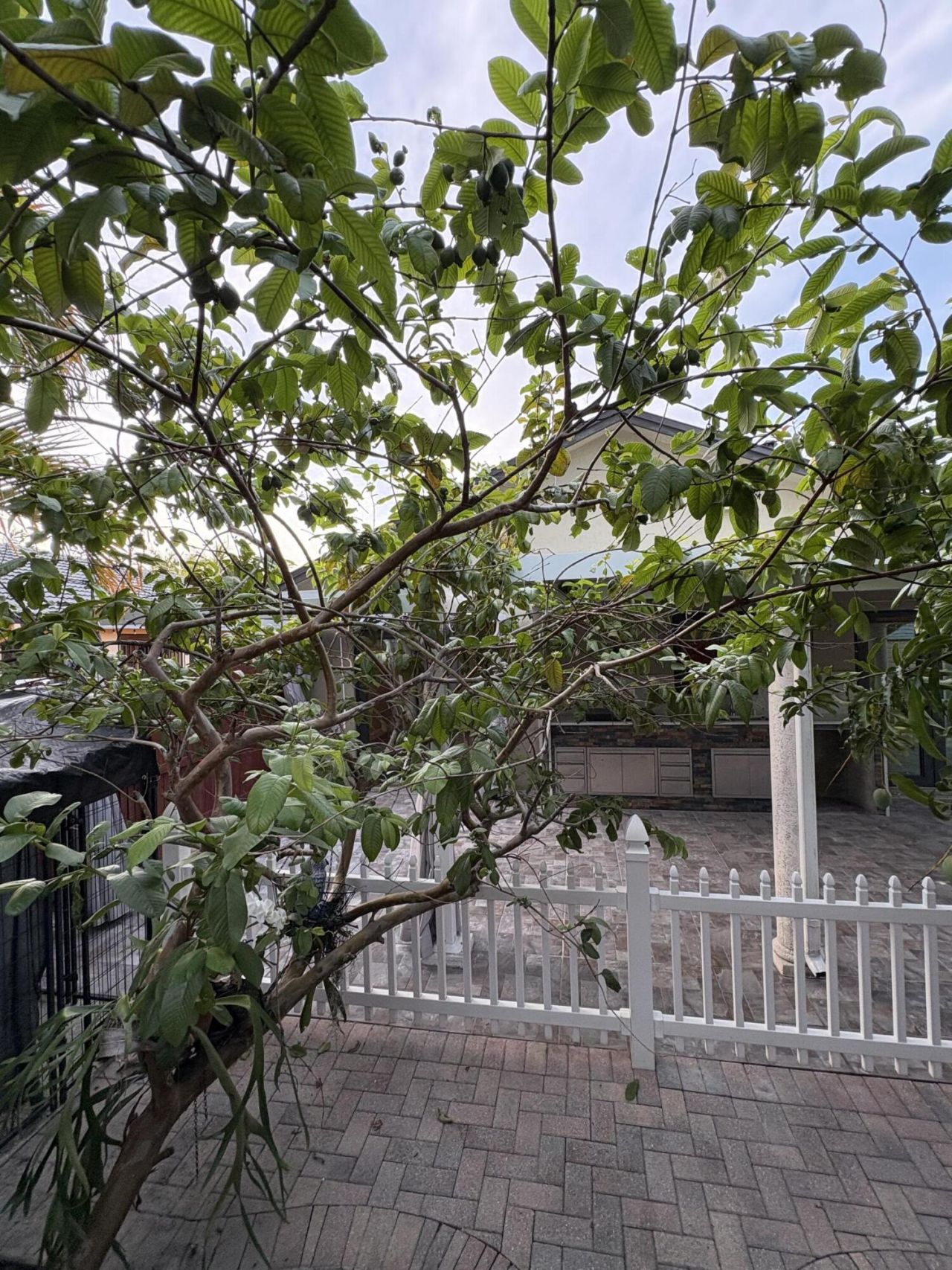 14776 SW 138th Terrace, Miami, FL 33196 Photo