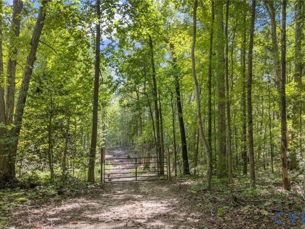 0 Davis Mill Road , Goochland, VA 23063