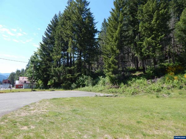 Lot 900 & 1000 N Santiam Hwy, Idanha, OR 97350