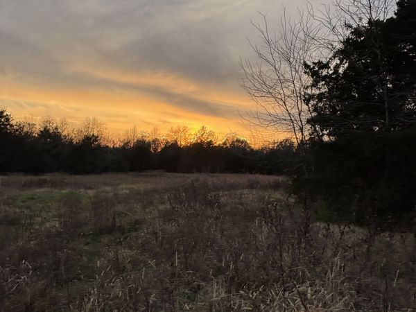 0 Laws Hill Road , Lewisburg, TN 37091