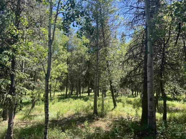 Lot 1 Chad Drive, McCall, ID 83638
