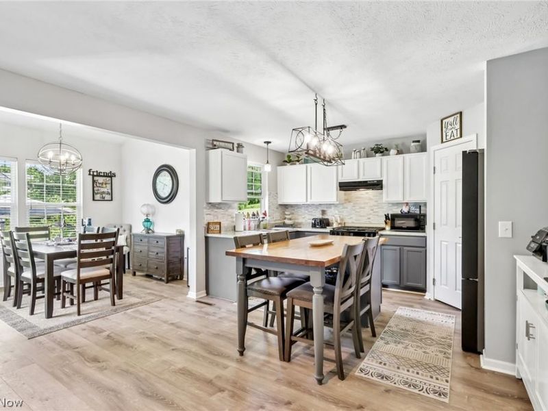 1480 Crescent Drive, Streetsboro, OH 44241 Photo 15