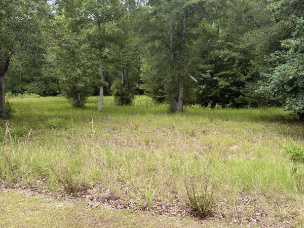 535 N Wild Rice Drive SW, Supply, NC 28462