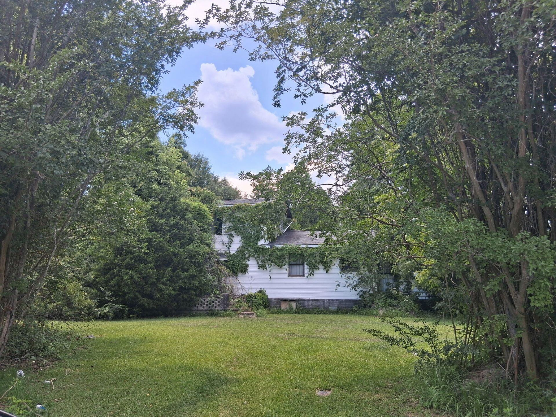 106 Hardrick Drive Photo 11