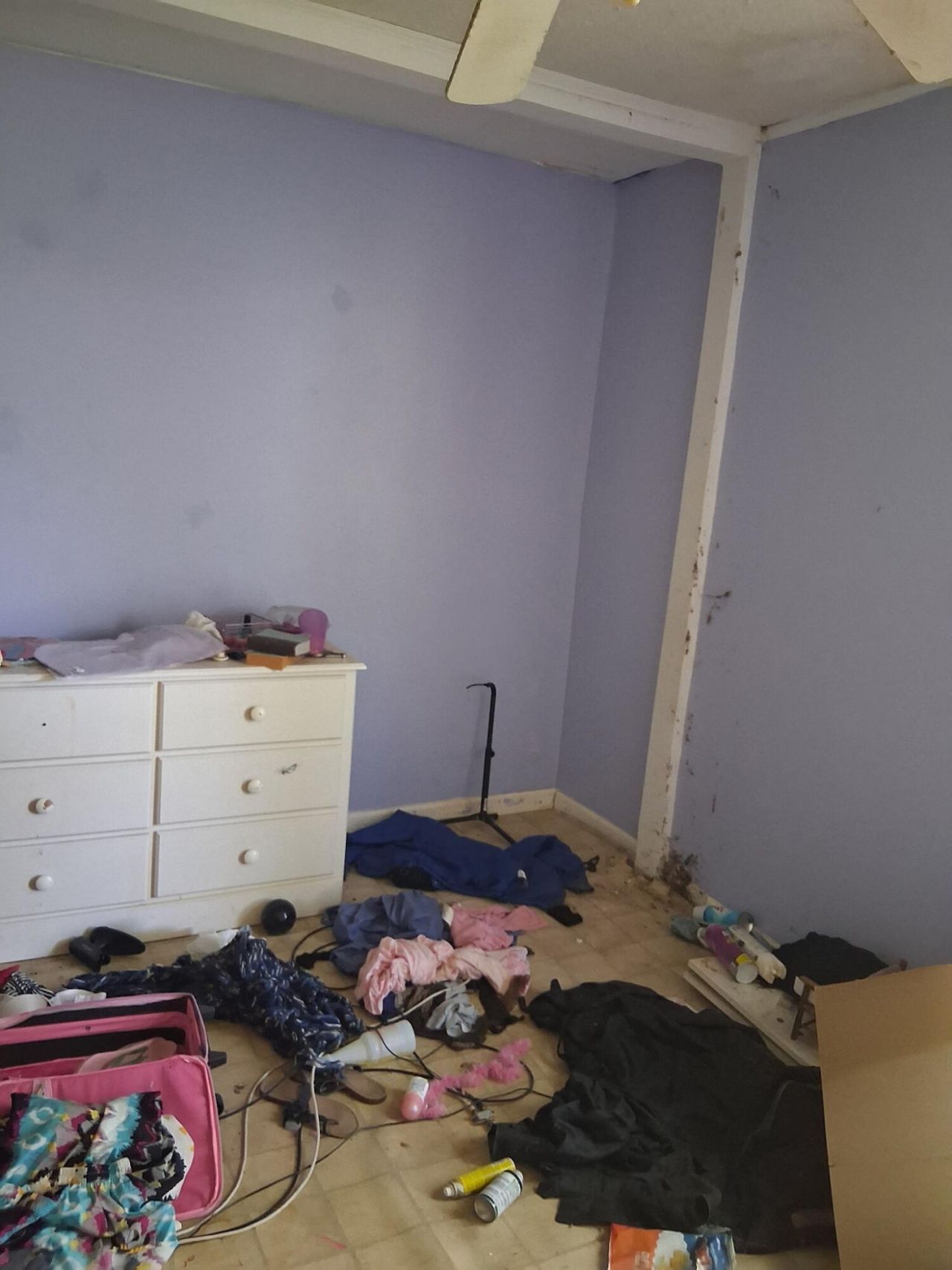 106 Hardrick Drive Photo 6