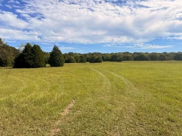 TBD County Road 2500, Eustace, TX 75124