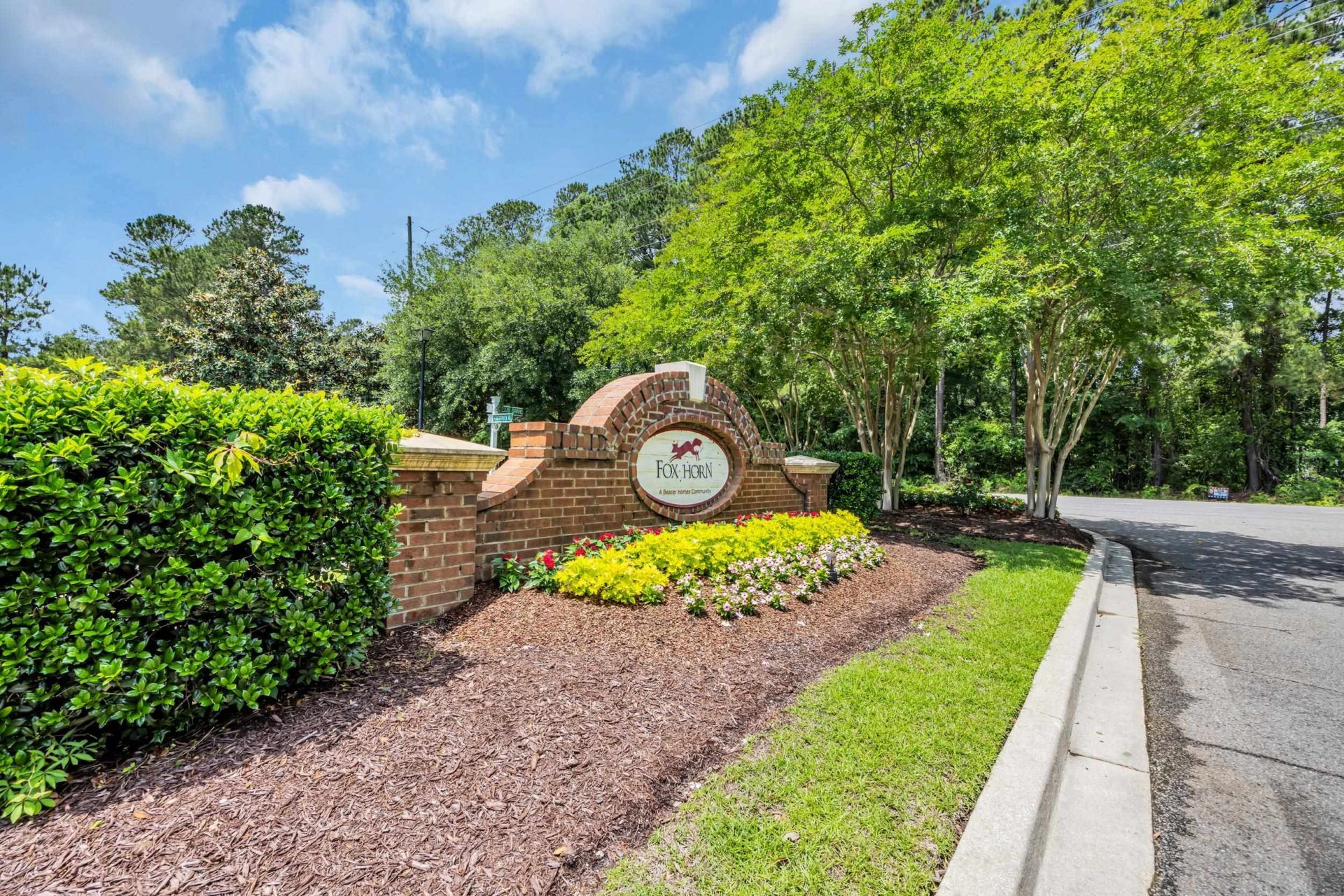 101 Zinnia Dr.  Photo 30