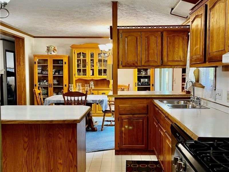 1324 Lake Vue Drive, Roaming Shores, OH 44085 Photo 4
