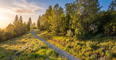 1285 Cosens Ln, Placerville, CA 95667 Photo