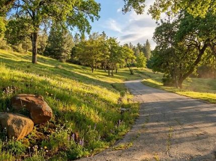 1285 Cosens Ln, Placerville, CA 95667 Photo