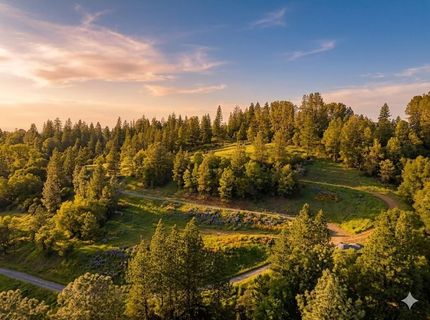 1285 Cosens Ln, Placerville, CA 95667 Photo