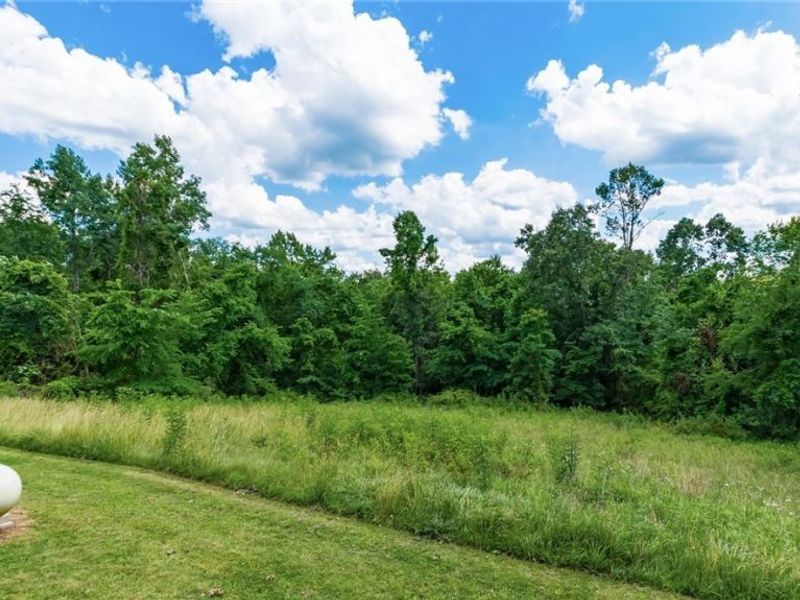 43467 State Route 145, Lewisville, OH 43754 Photo 29