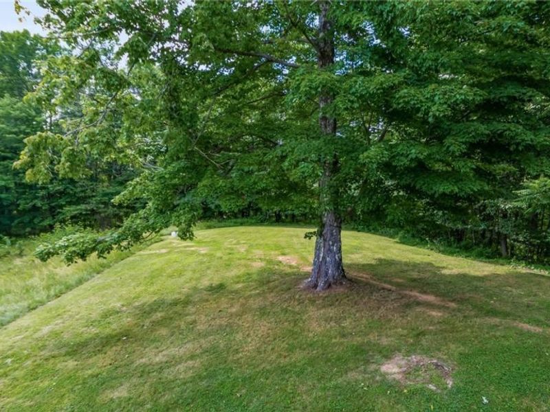 43467 State Route 145, Lewisville, OH 43754 Photo 30