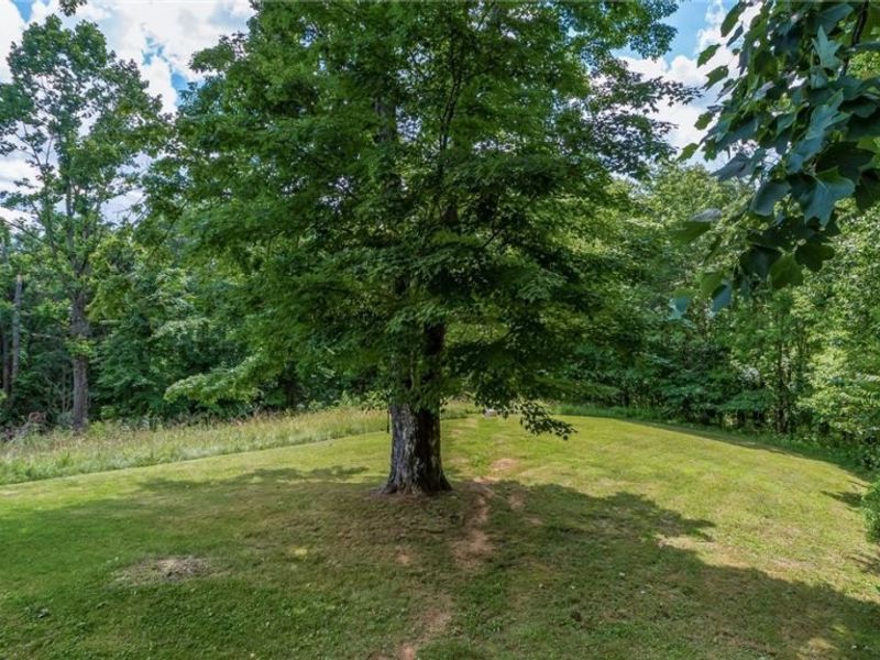 43467 State Route 145, Lewisville, OH 43754 Photo 31