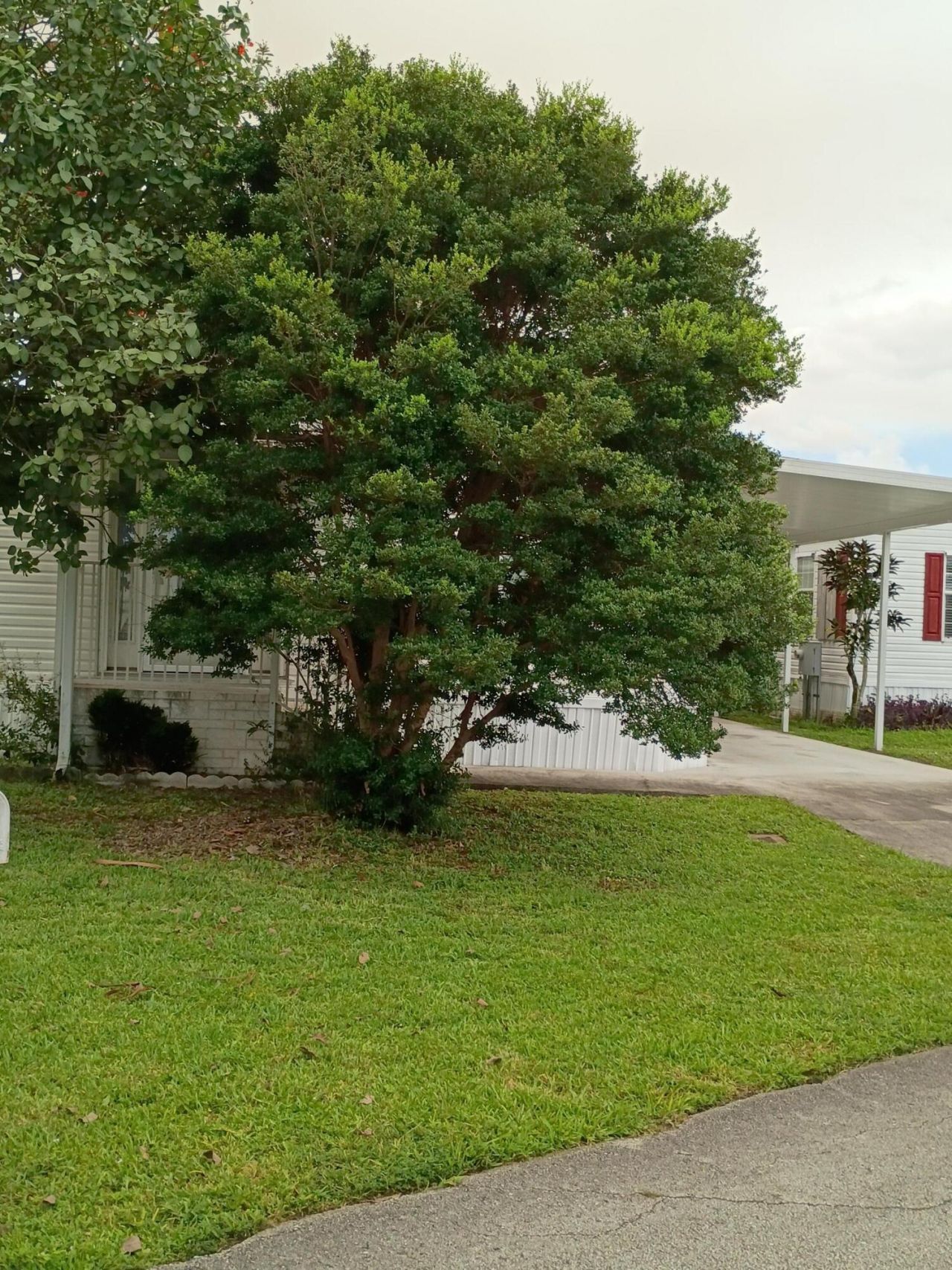 2080 SW 85th Avenue, Davie, FL 33324 Photo