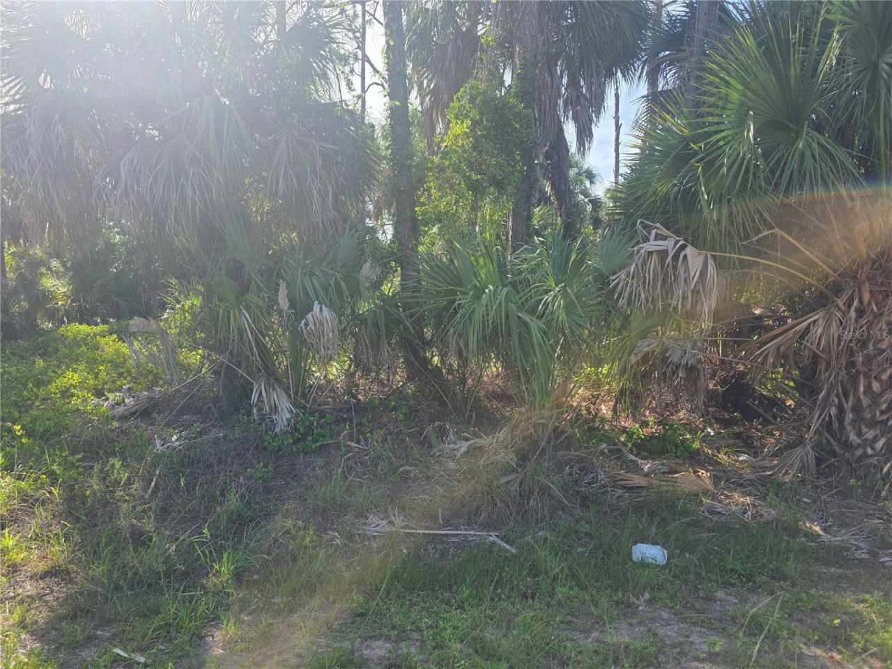 Prime Terrace , North Port, FL 34286 Photo