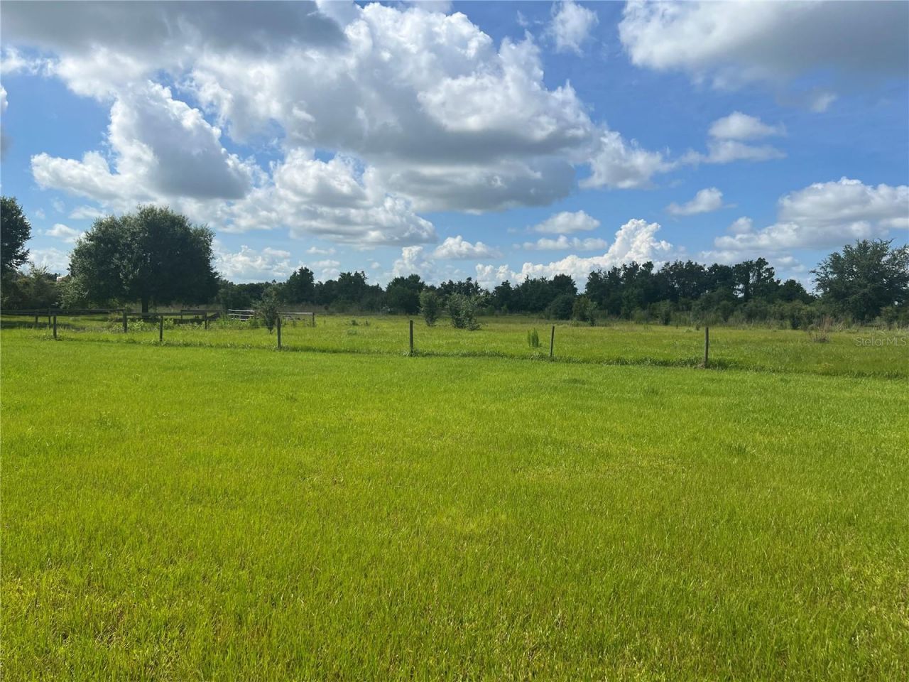 8755 Wauchula Road, Myakka City, FL 34251 Photo