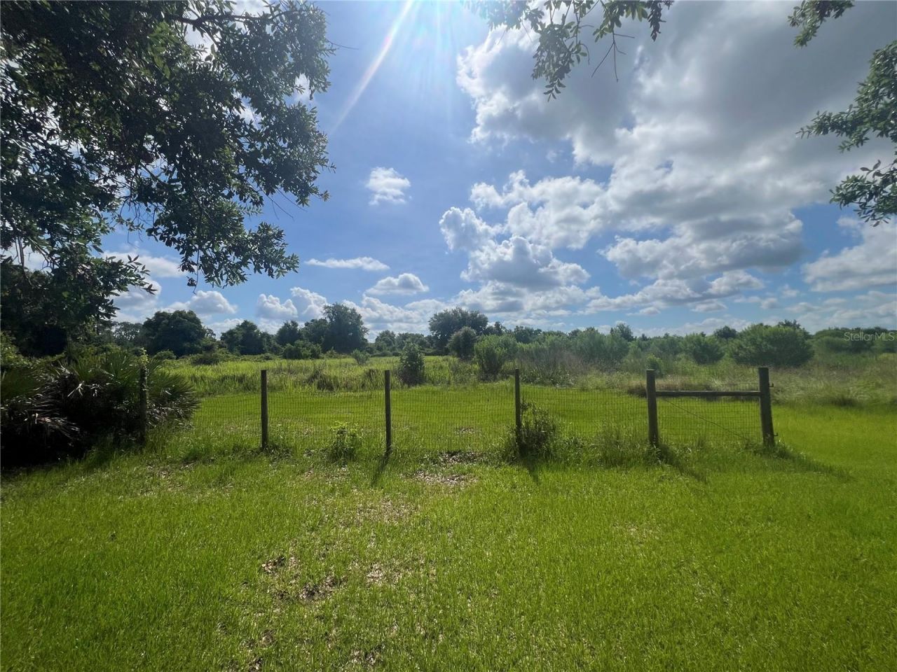 8755 Wauchula Road, Myakka City, FL 34251 Photo