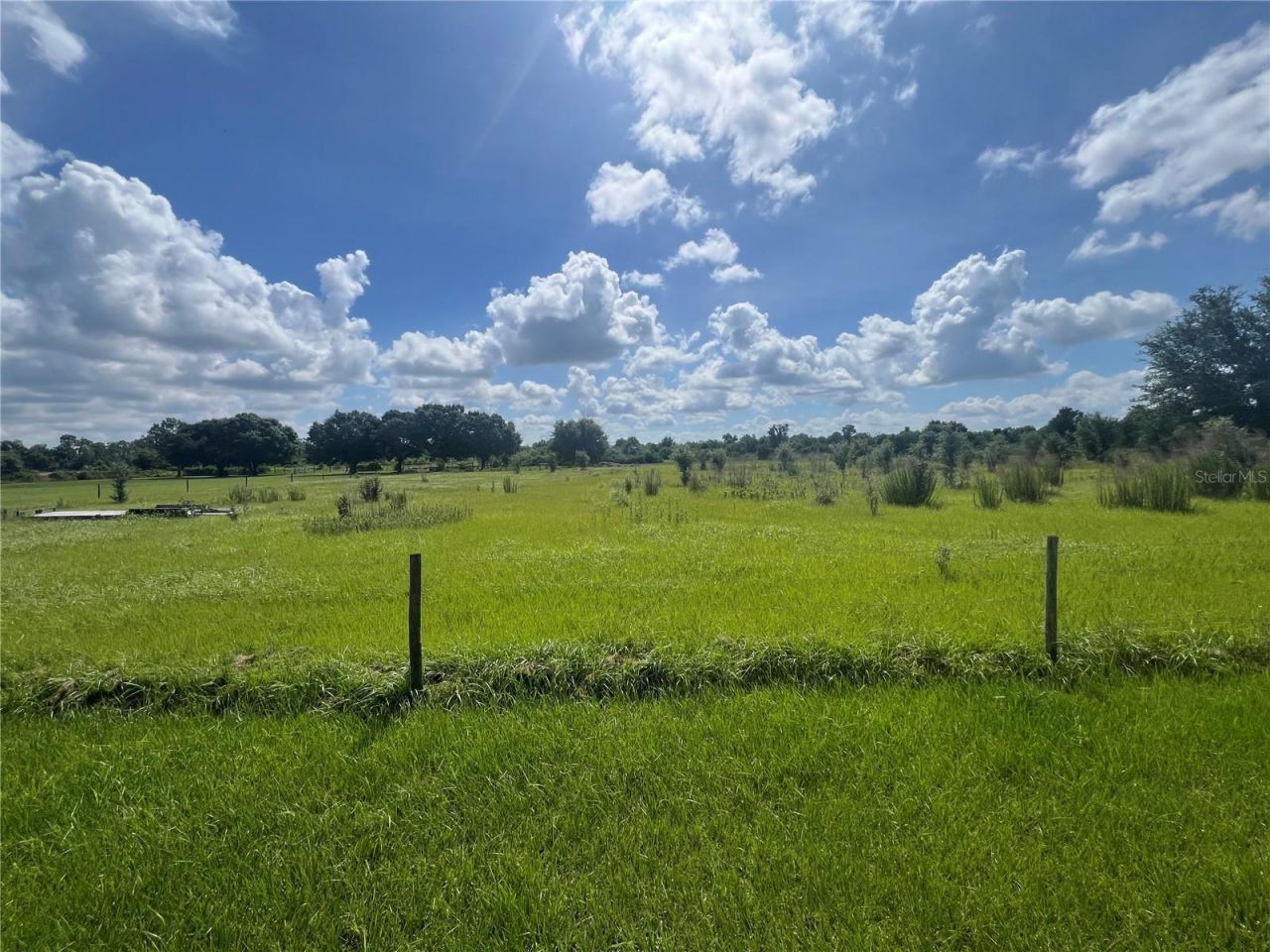 8755 Wauchula Road, Myakka City, FL 34251 Photo