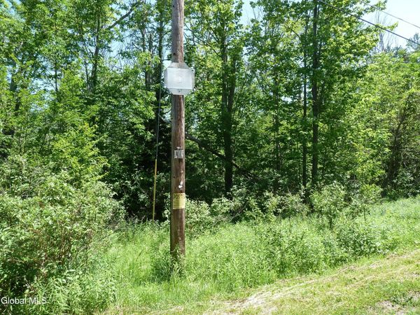 L6.114 Berry Lane, Hunter, NY 12442