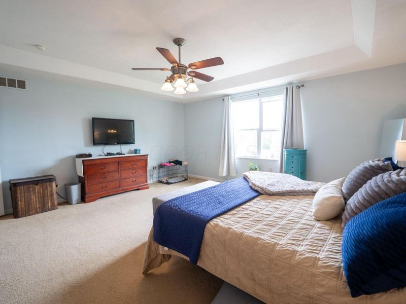 8877 Woodside Street, Canal Winchester, OH 43110 Photo 28