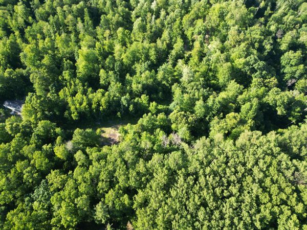 5170 Rocky Top Parcel C Lane, Pierson, MI 49339