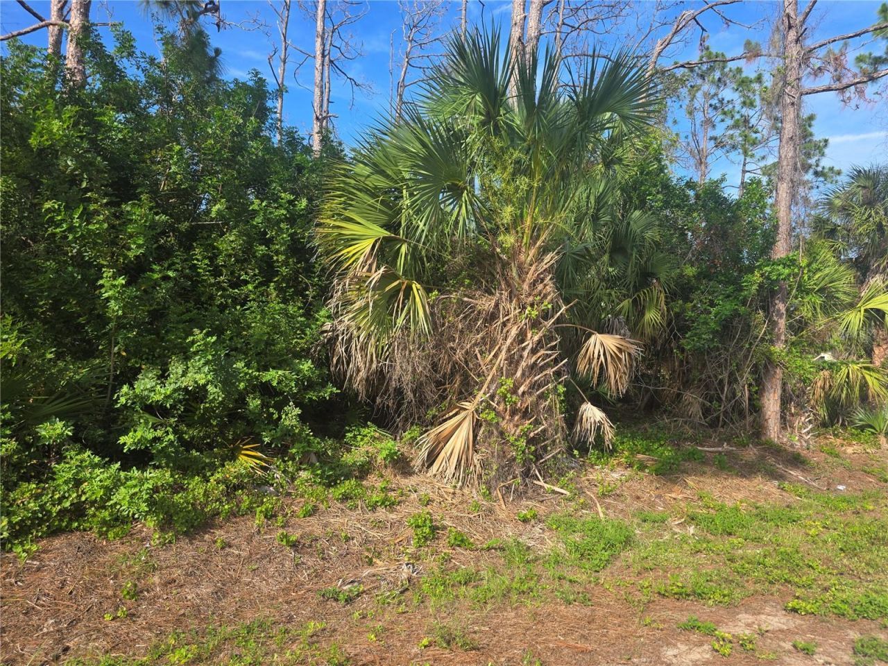 Pronto Lane , North Port, FL 34286 Photo
