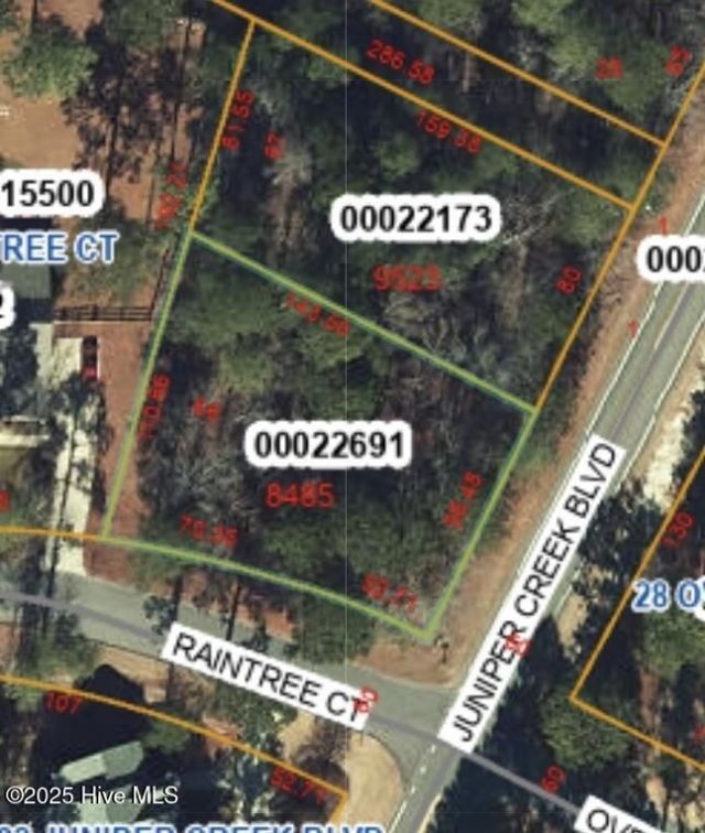 1 Raintree Court, Pinehurst, NC 28374 Main Photo
