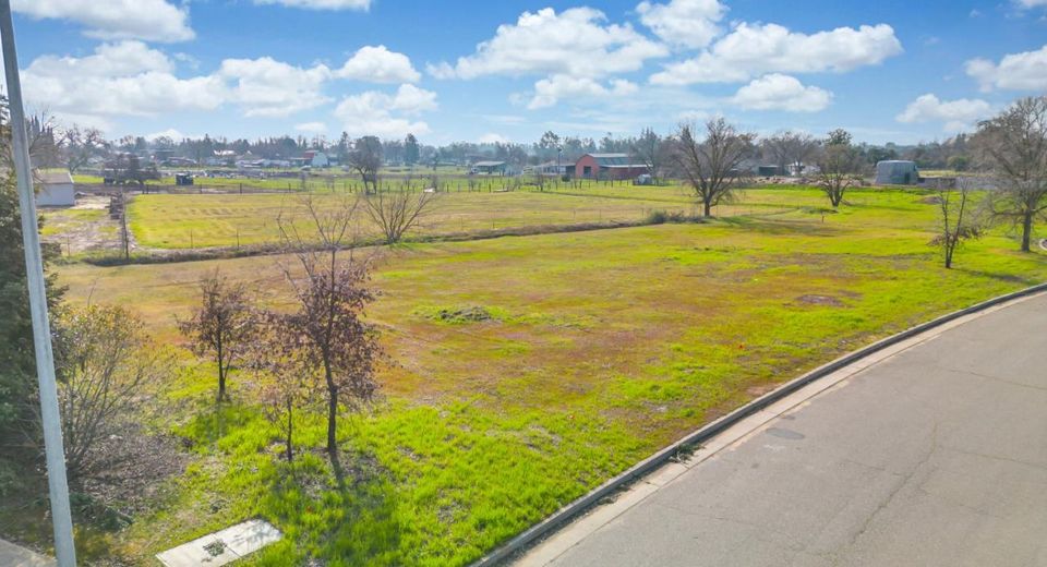 11070 Jeff Brian Ln, Wilton, CA 95693 Photo
