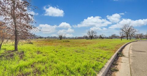 11070 Jeff Brian Ln, Wilton, CA 95693 Photo