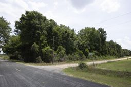 4 Joseph Lemon And Dingle Road photo 4