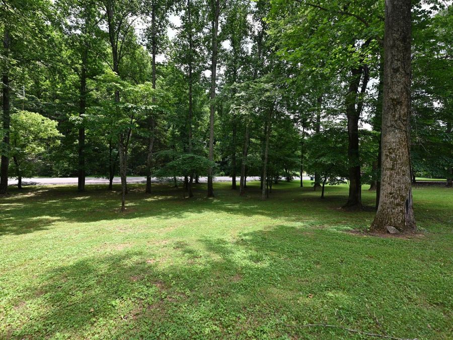 Property Image 79