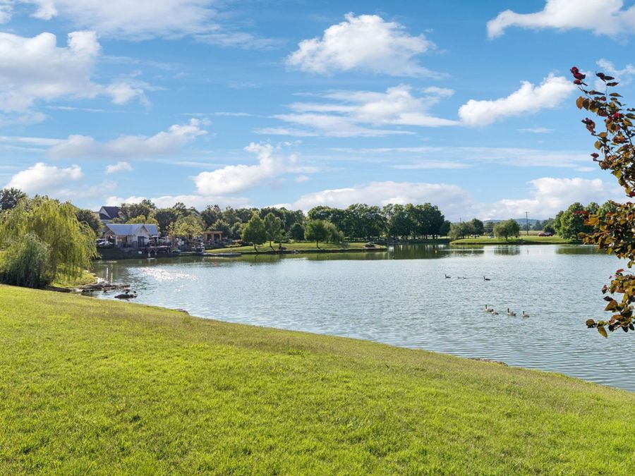 Property Image 68