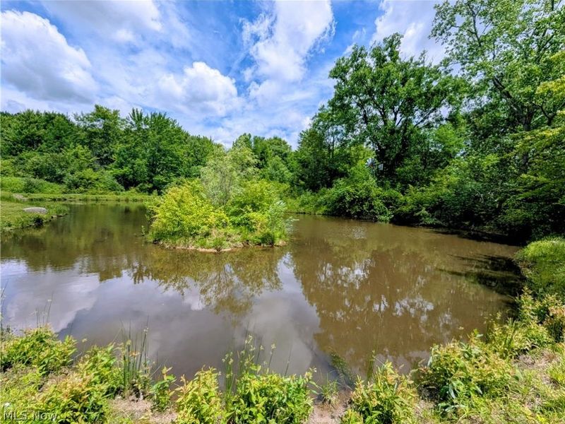 7394 Kniffen Road , Leroy, OH 44077 Photo 14