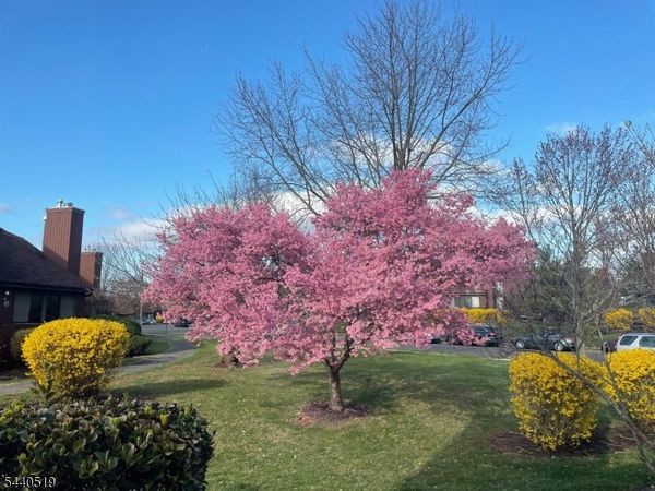 25 Bloomingdale Dr, Hillsborough, NJ 08844