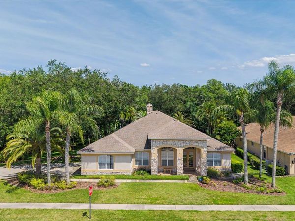 18615 CHEMILLE DRIVE , LUTZ, FL 33558