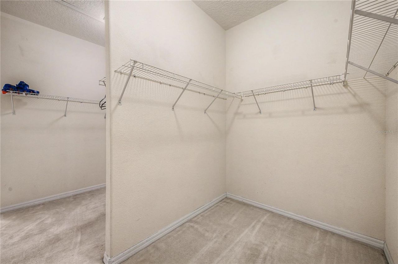 18615 Chemille Drive , Lutz, FL 33558 Photo