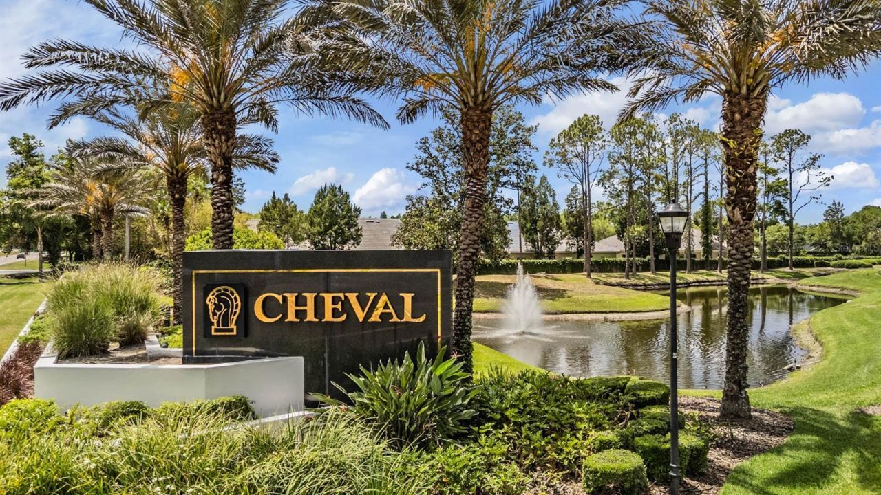 18615 Chemille Drive , Lutz, FL 33558 Photo