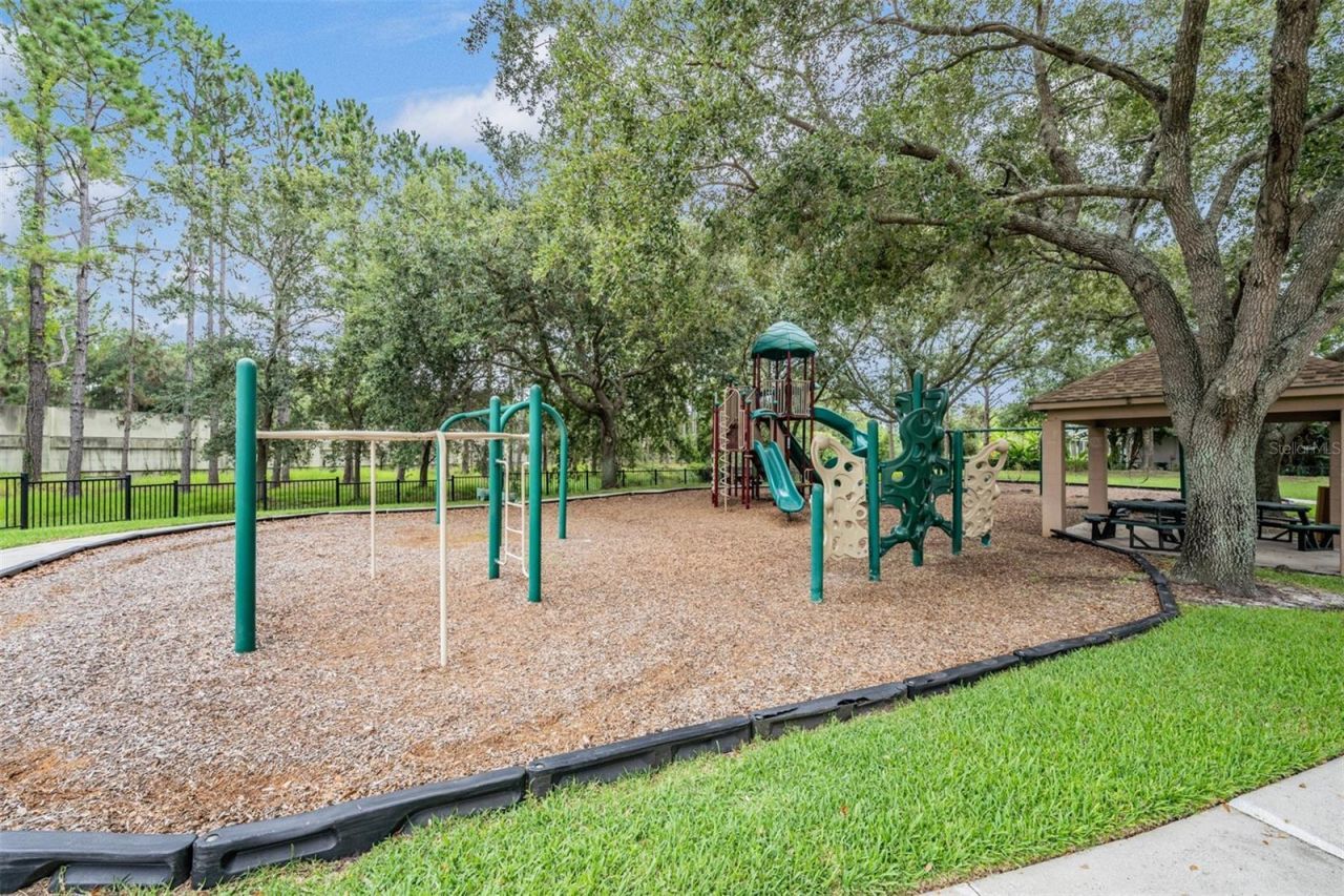 18615 Chemille Drive , Lutz, FL 33558 Photo