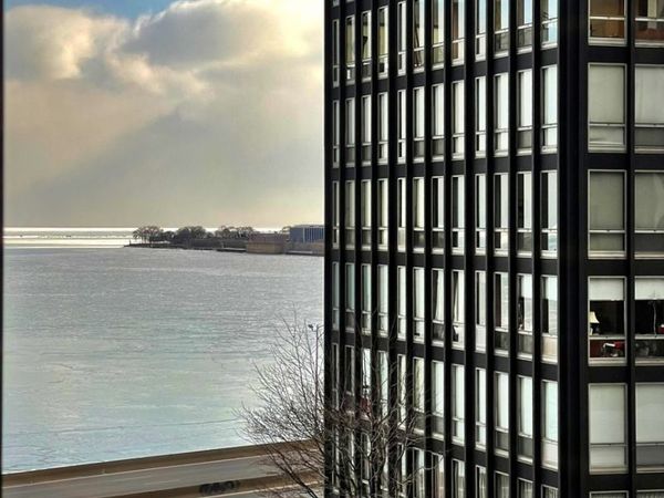 880 N Lake Shore Drive, Unit 25H, Chicago, IL 60611