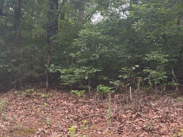 Shurden Owen Drive, Gore Springs, MS 38929