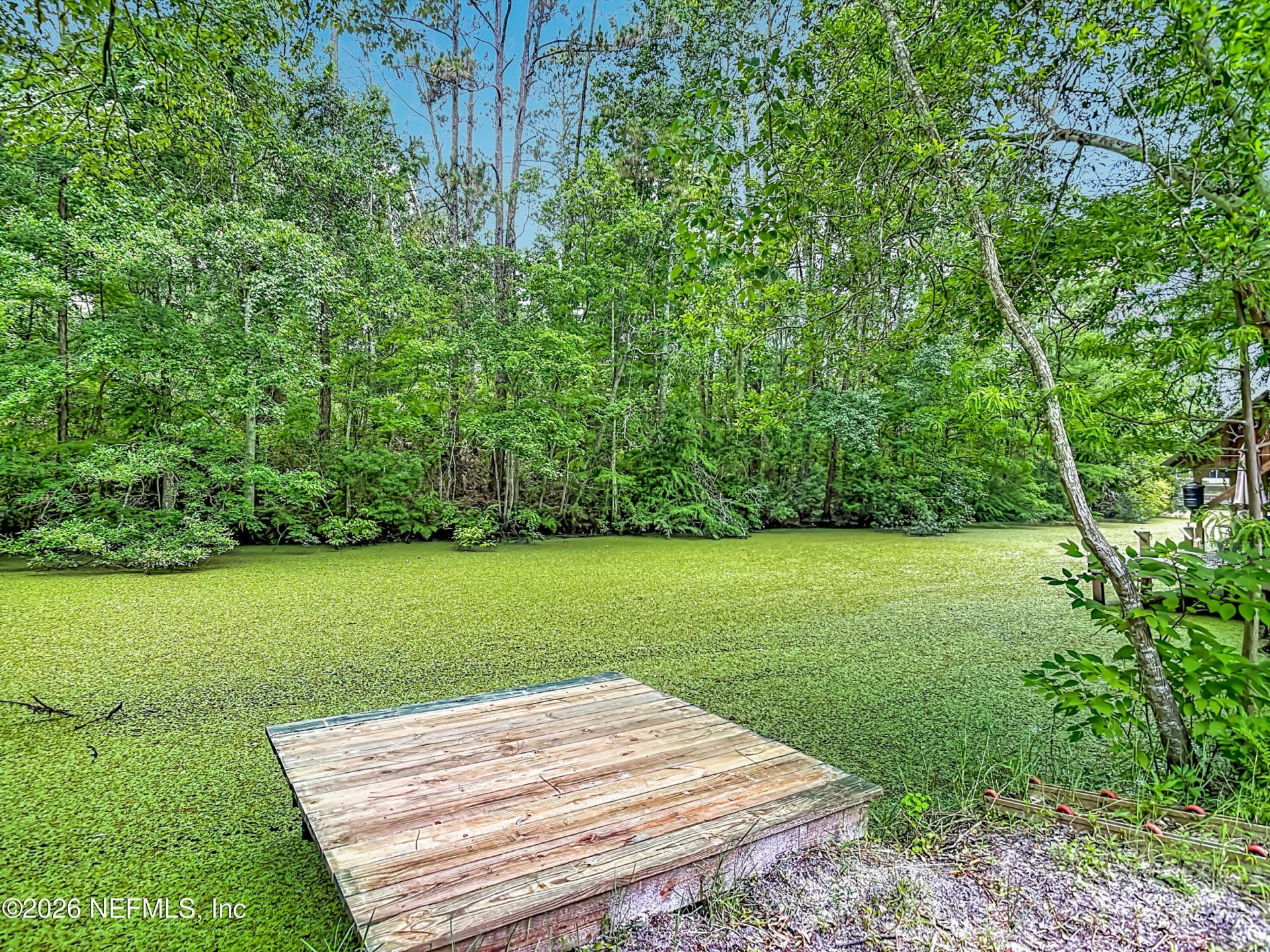 137 Kerry Drive, Satsuma, FL 32189 Photo