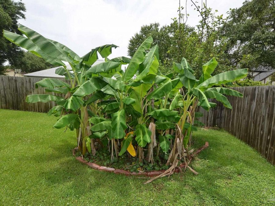 Property Image 58