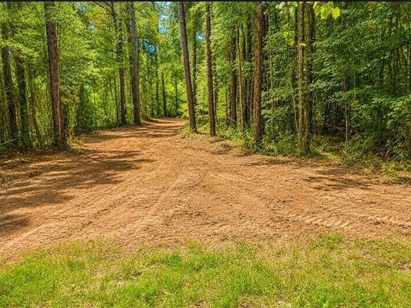 0 Walter Tanner Road, Mobile, AL 36587