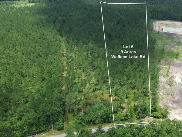 Lot 6 Wallace Lake Rd, Pace, FL 32571