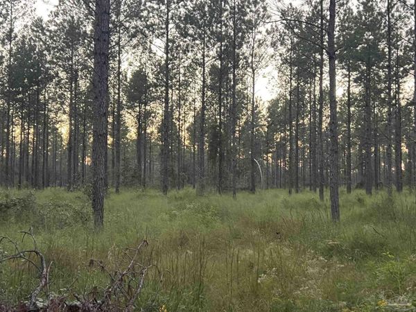 Lot 7 Wallace Lake Rd, Pace, FL 32571
