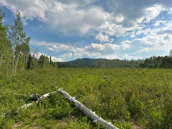 94 HILLTOP LN, Unit 94 &95, Fairview, UT 84629