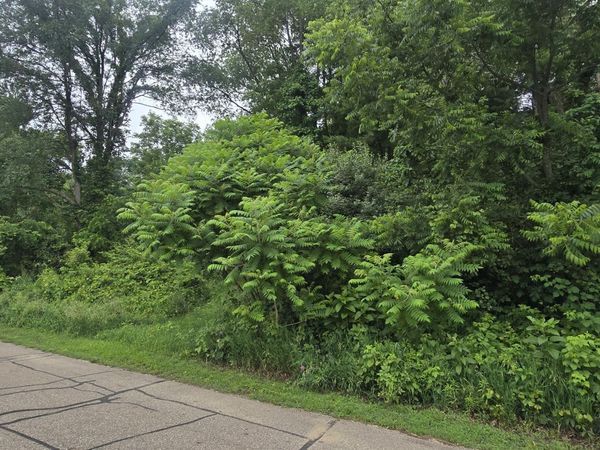 V/L Lakefront Drive, Delton, MI 49046
